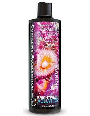 BRIGHTWELL Aquatics Coralline Algae Accelerator